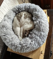Cuccia Pelosa - PetGroomSpa™